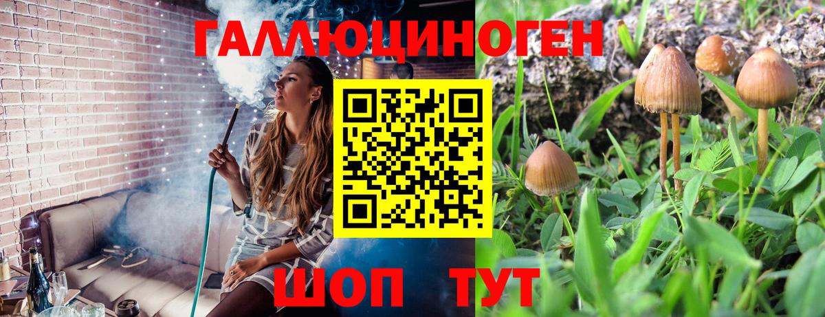 Галлюциногенные грибы мицелий  Вход с VPN  Бахчисарай 