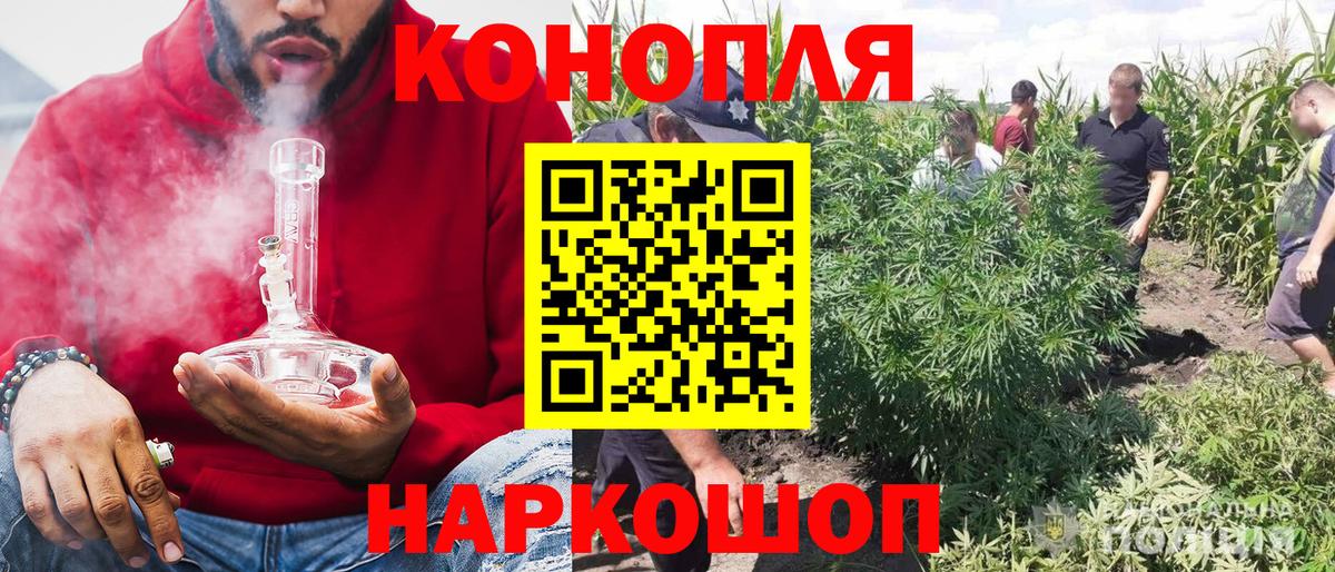 Бошки Шишки тримм Бахчисарай